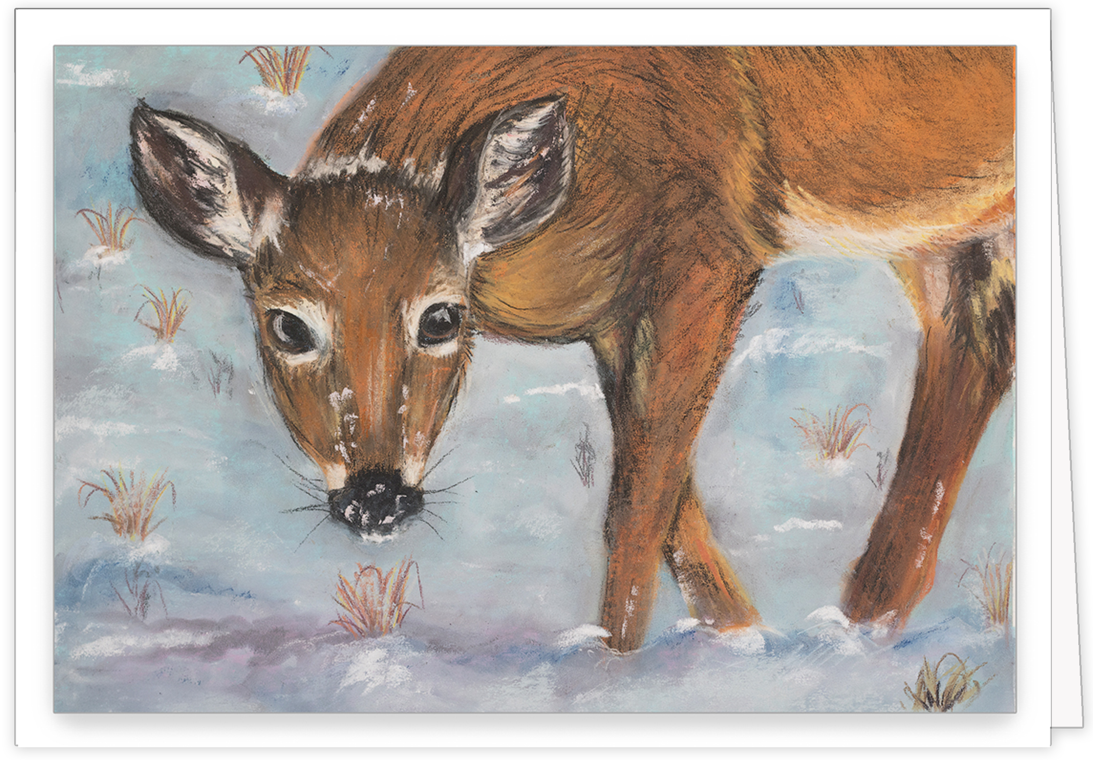 WINTER ENCOUNTER FOLD FACE.png