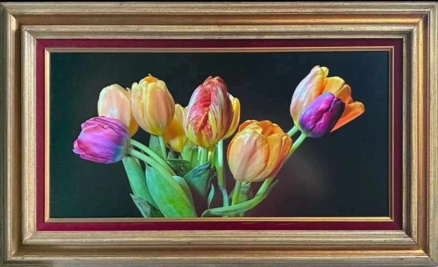 HARMONY-IN-BLOOM-%5B1080%4072-framed%5D-25.05.13-18a1227.jpg