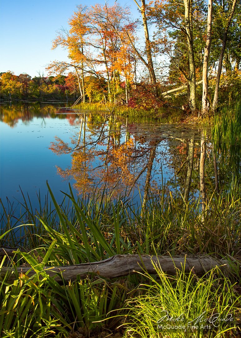 Autumn Reflections
151010-0188