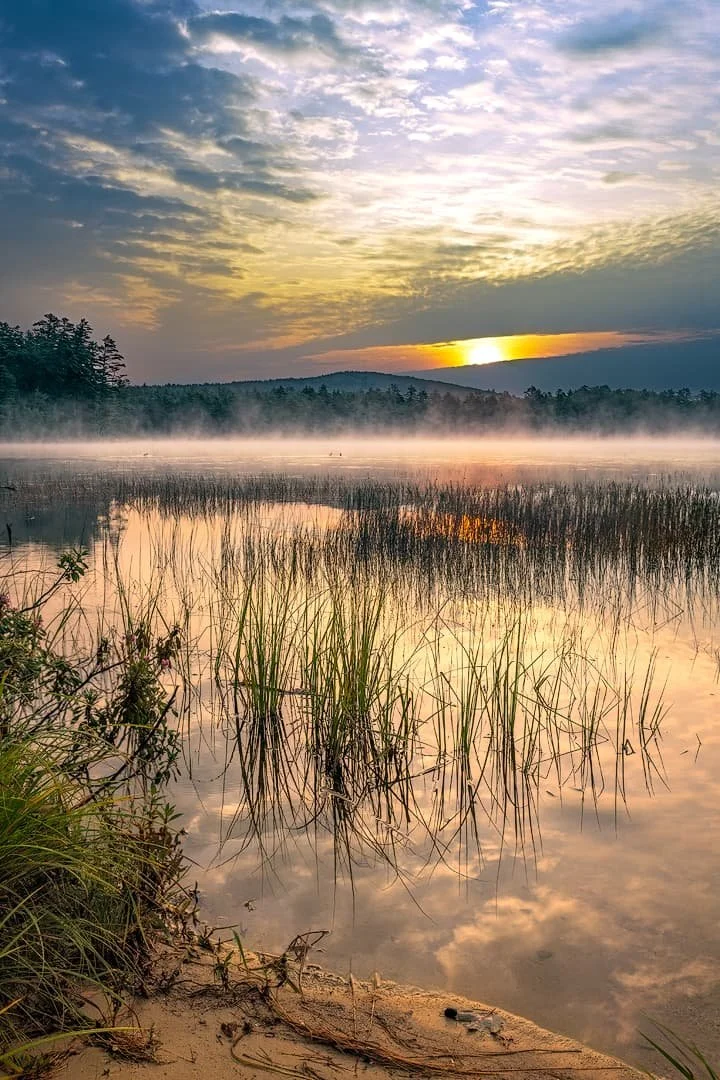 Misty New England marsh at sunrise with golden light, reeds reflected in still water, distant hills, and soft fog drifting across the lake.