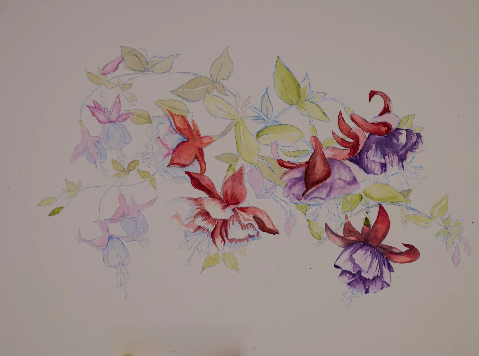 SMCCQUADE-FUCHSIA WIP 260324 (8 of 1)-sharpened.jpg