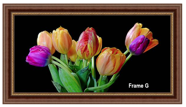 FRAME G.png