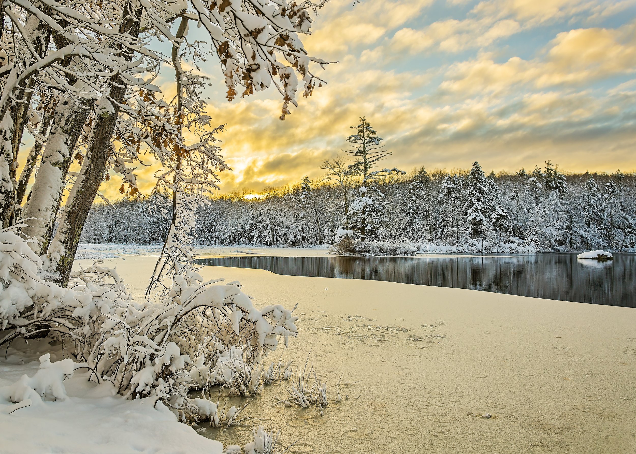 That First Snow
Rollins Pond, Gilmanton NH