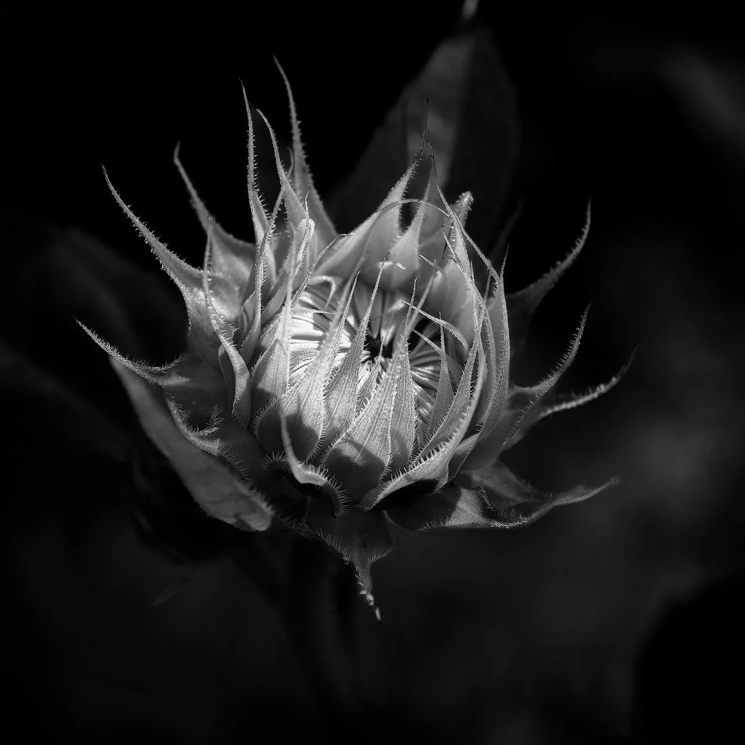 A New Beginning - Mono
220902-0658