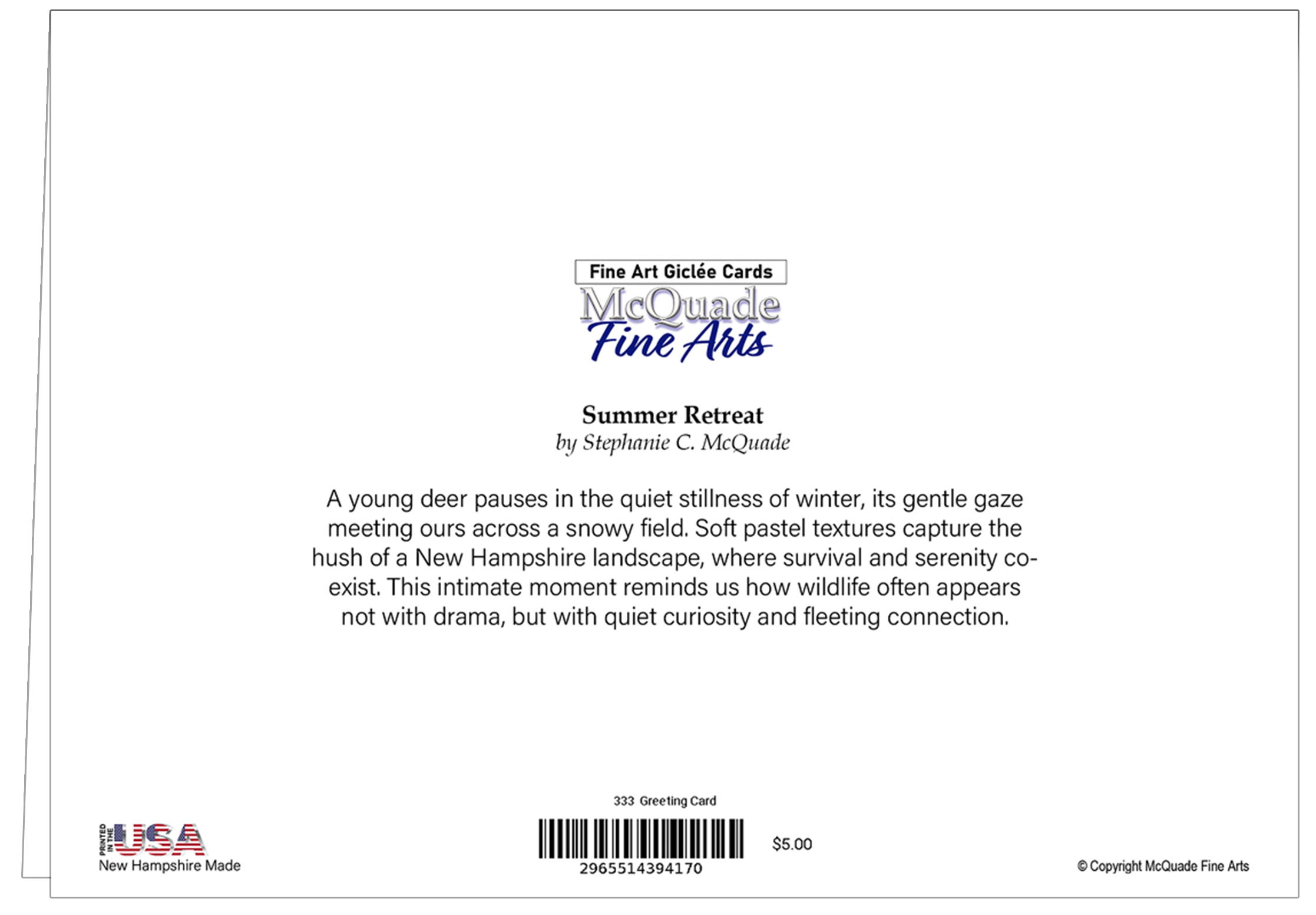 WINTER ENCOUNTER FOLD BACK.png