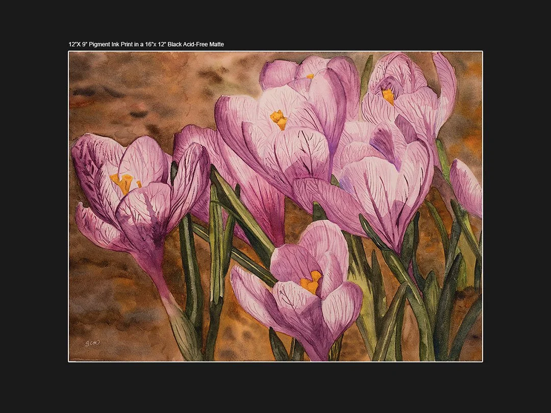 12x16-BLACK-MATTE---PURPLE-CROCUS-WC.jpg