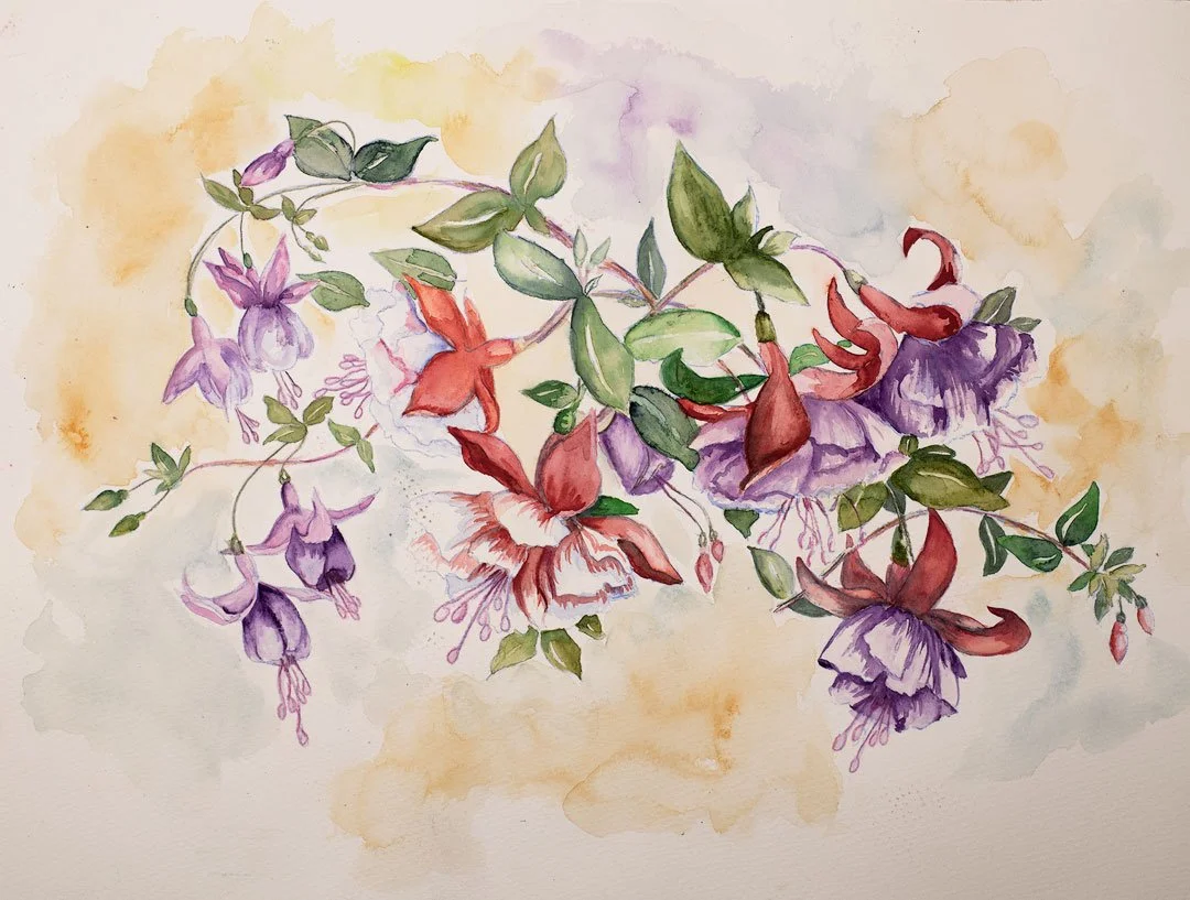 FUCSHIA-WATERCOLOR-[1080@72]-260420-(31-of-1)-Edit-sharpened.jpg