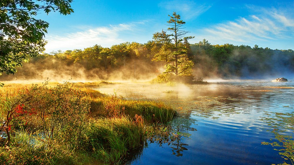 Autumn Morning Smoke, Rollins Pond