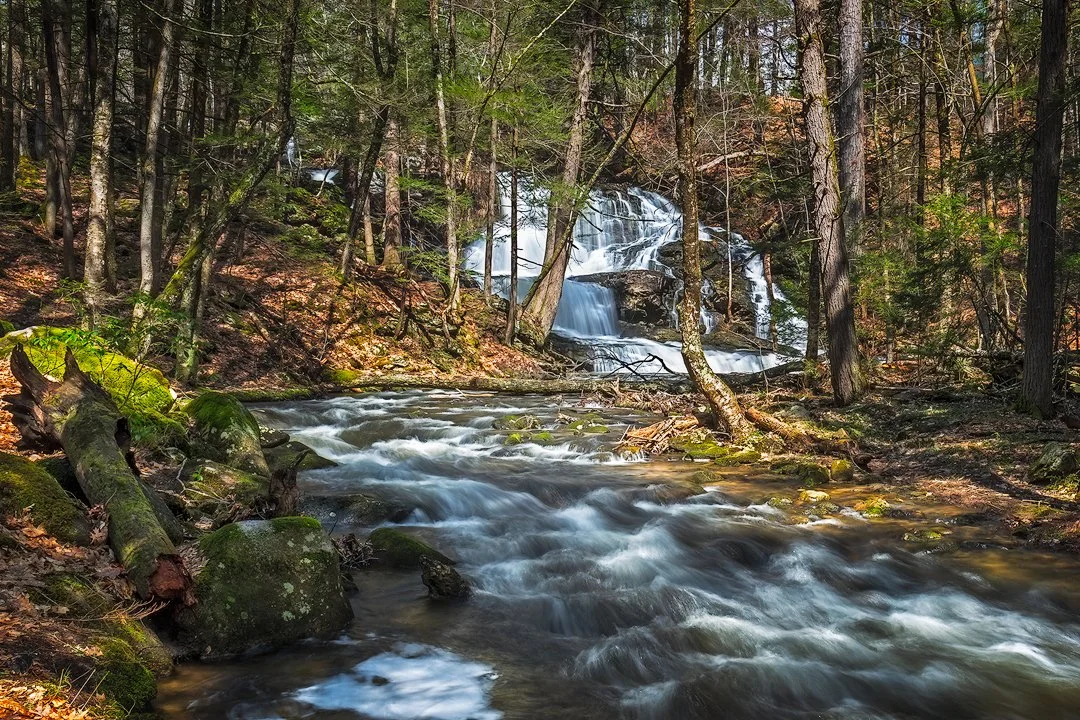 Long-exposure photograph of a woodland waterfall and rushing forest stream flowing through moss-covered rocks and trees in spring sunlight.