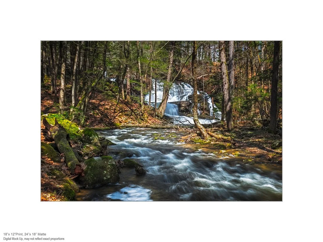 20180428_7044-12x18-in-24x18-white-matte.jpg