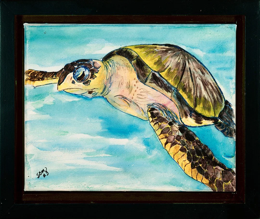 SEA-TURTLE-FRAMED-[1080H@72]FRAMED.jpg