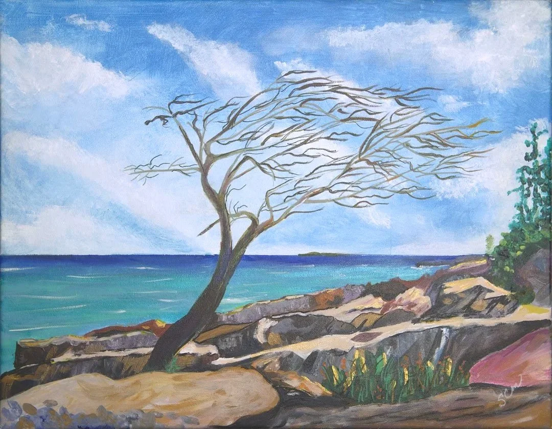 WINDSWEPT-%5B1080%4072%5D-ACRYLIC-25.10.15-000-36.jpg