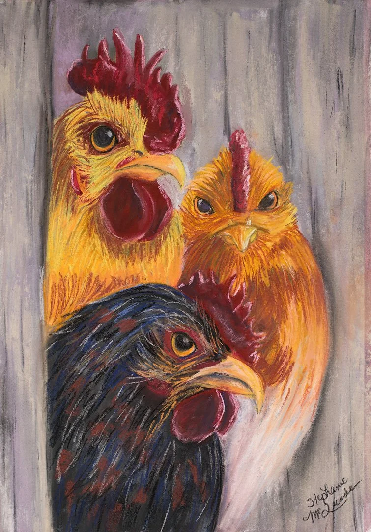 BARNYARD COUNCIL [1080@72].jpg