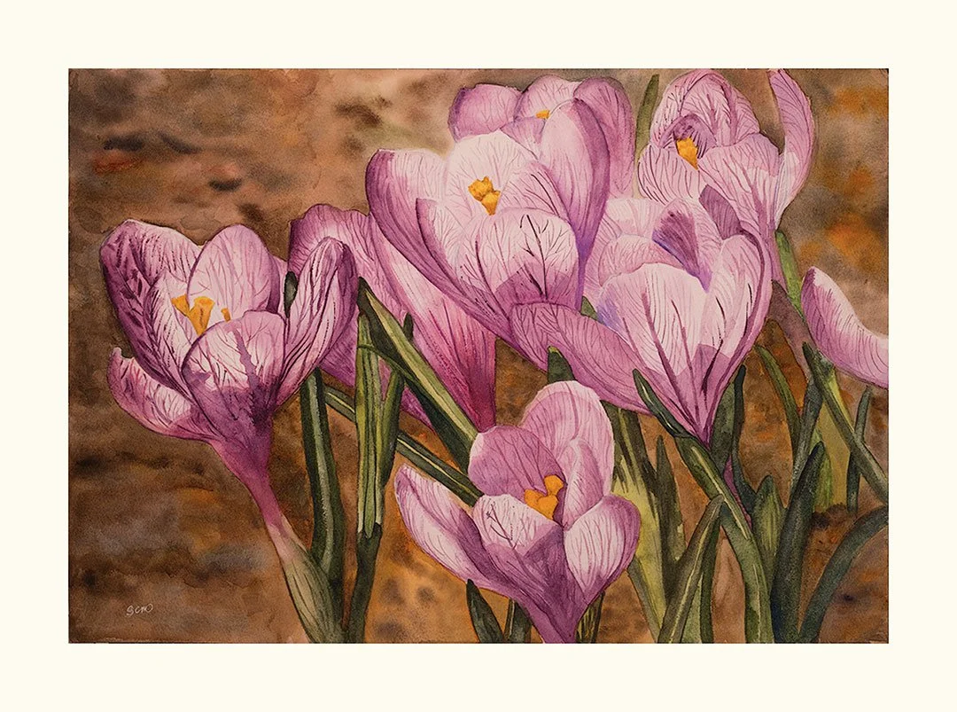 print-only-PURPLE-CROCUS-WC-[1080@72]-250606-0000-27-Edit.jpg