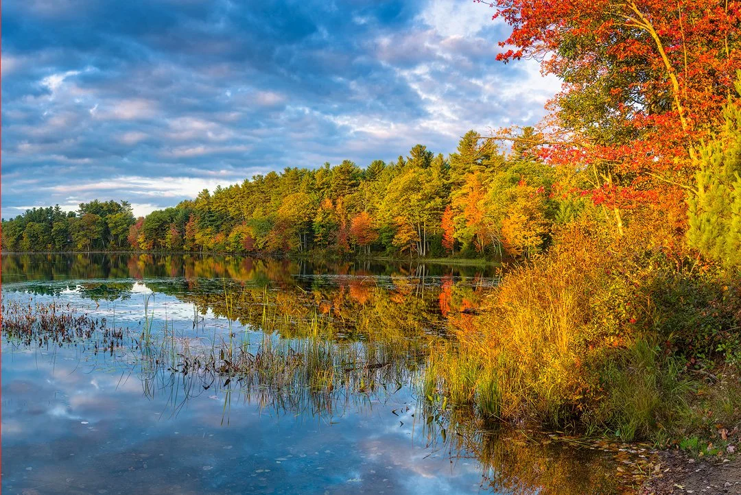 Morning Light on Rollins Pond-[WEB] 