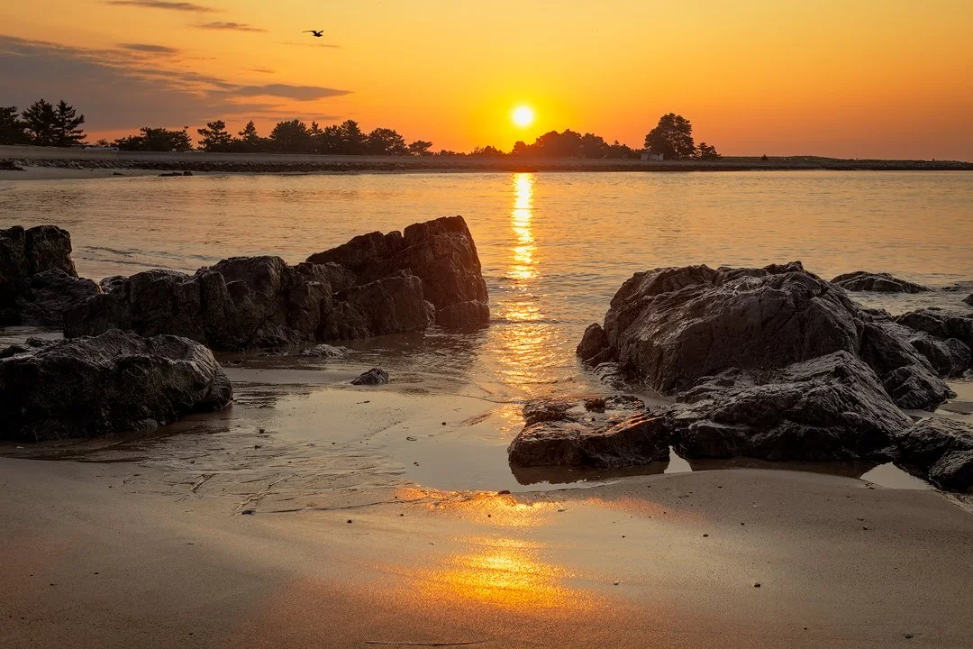 Steamy-July-Sunrise-1080@72.jpg
