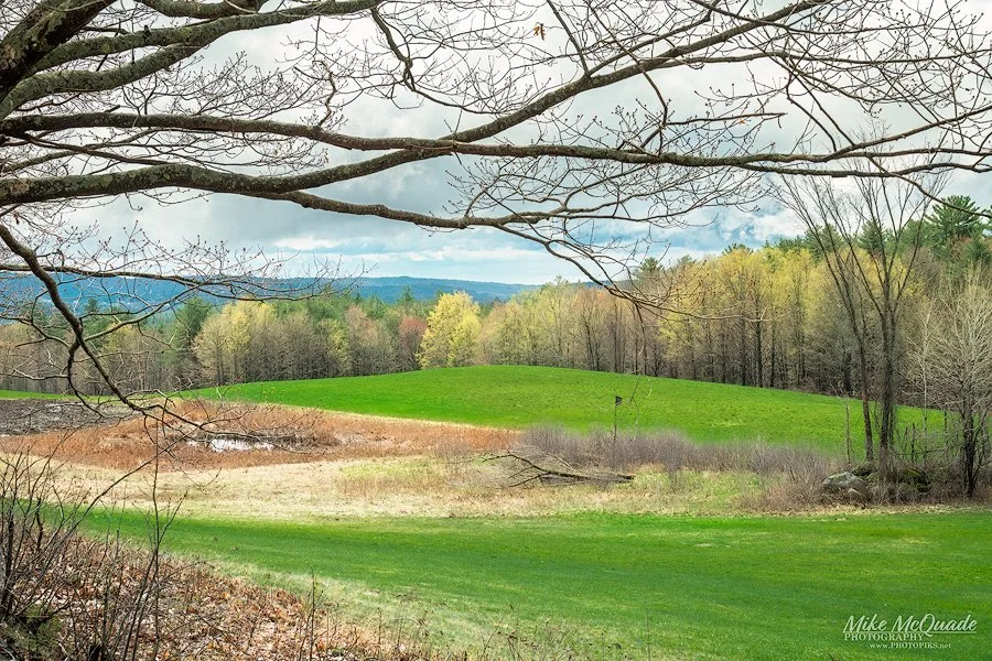 Budding trees and open green meadows refresh to soul after the long winter months.