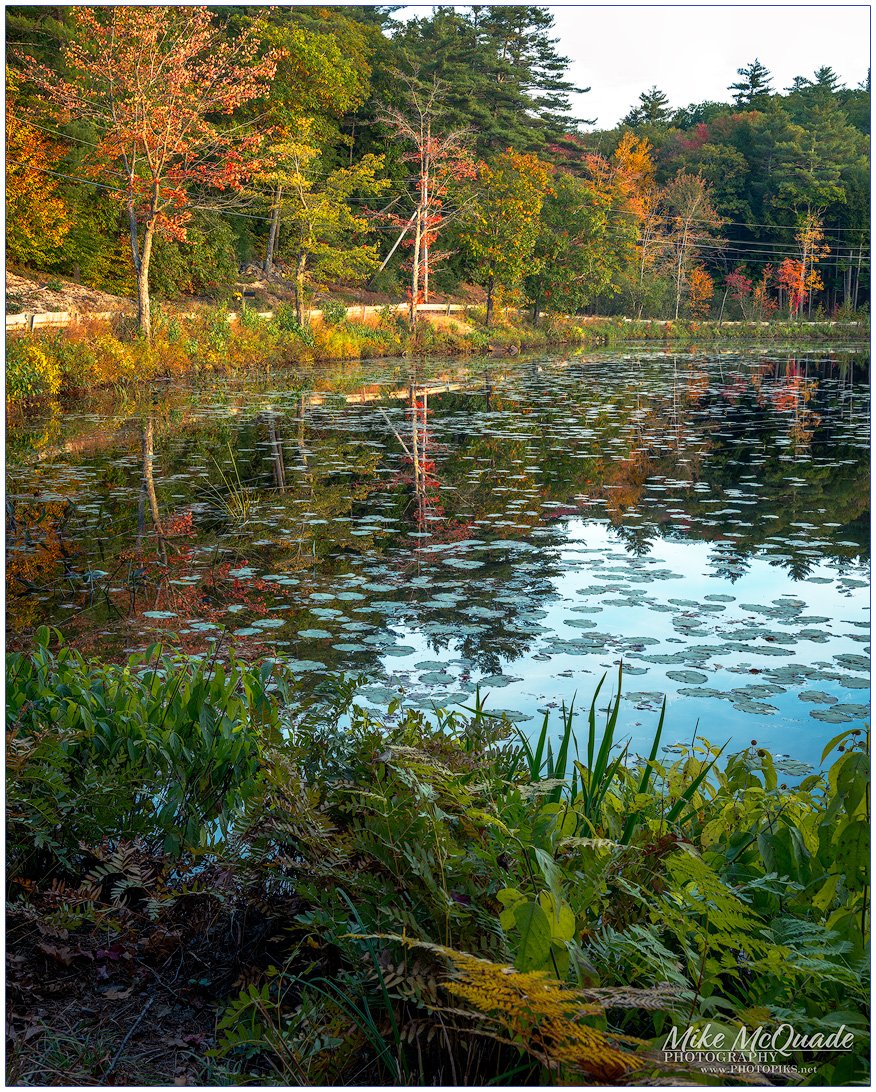 Monet Reflections
Shellcamp Pond, Gilmanton NH