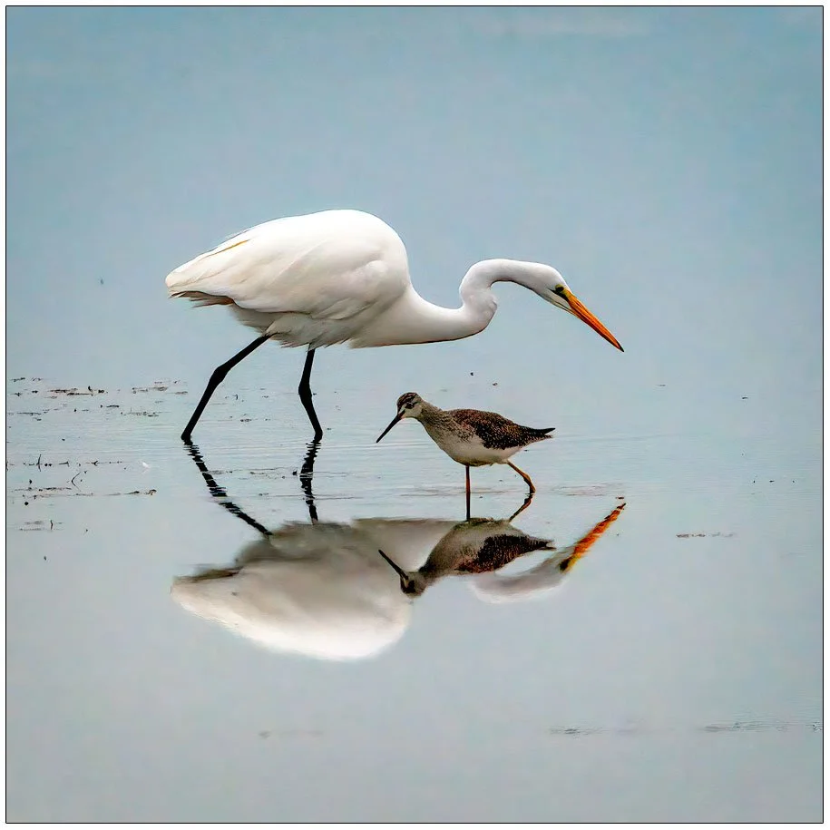 3796-Crossing-Paths