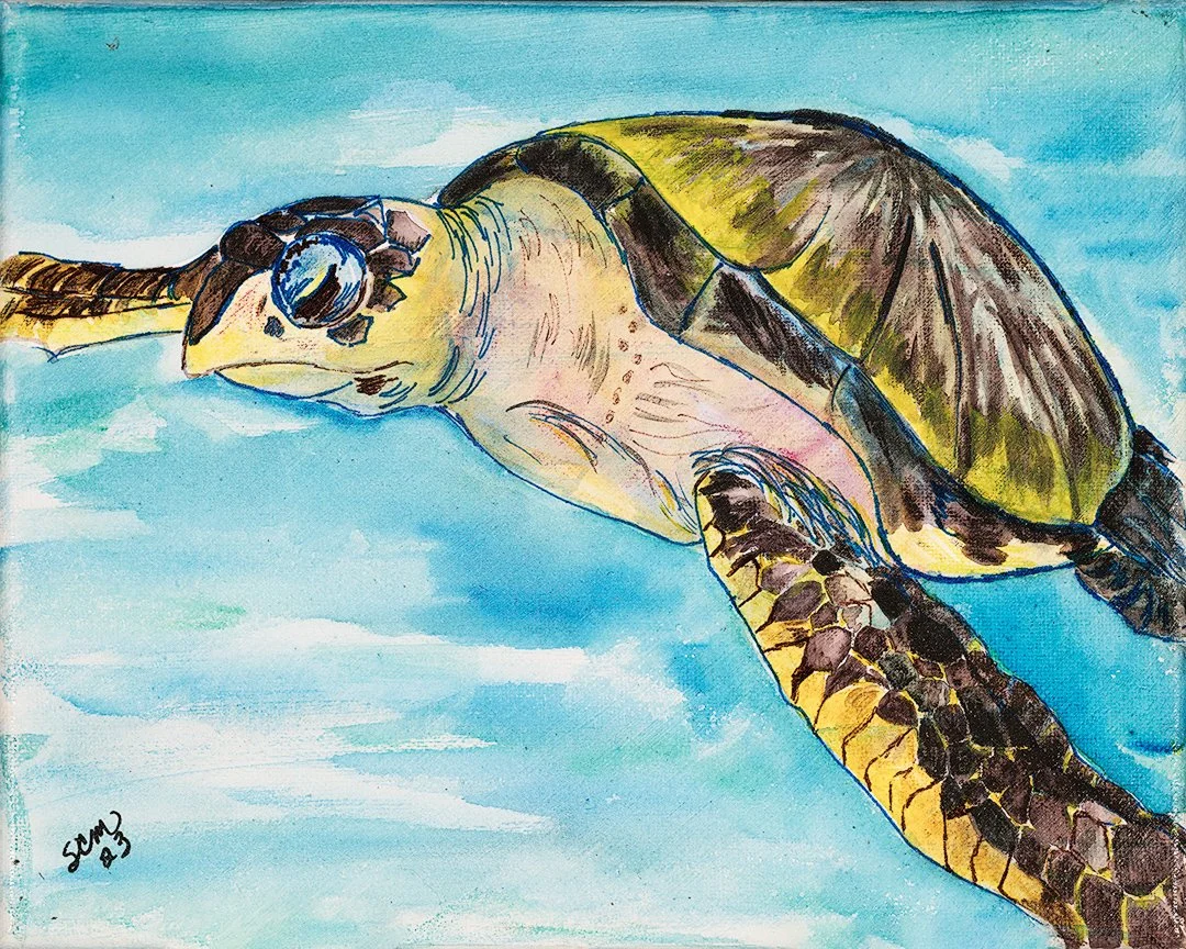SEA-TURTLE-[1080H@72]_CANVAS-ONLY.jpg