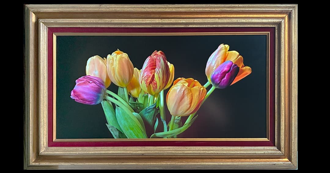 HARMONY-IN-BLOOM-[1080@72-framed]-25.05.13-18a1227.jpg