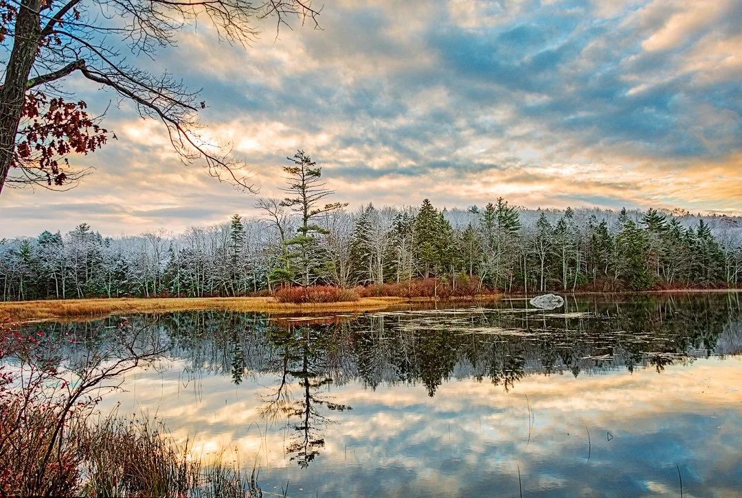 ROLLINS WINTER FIRST STRIKE [WEB]