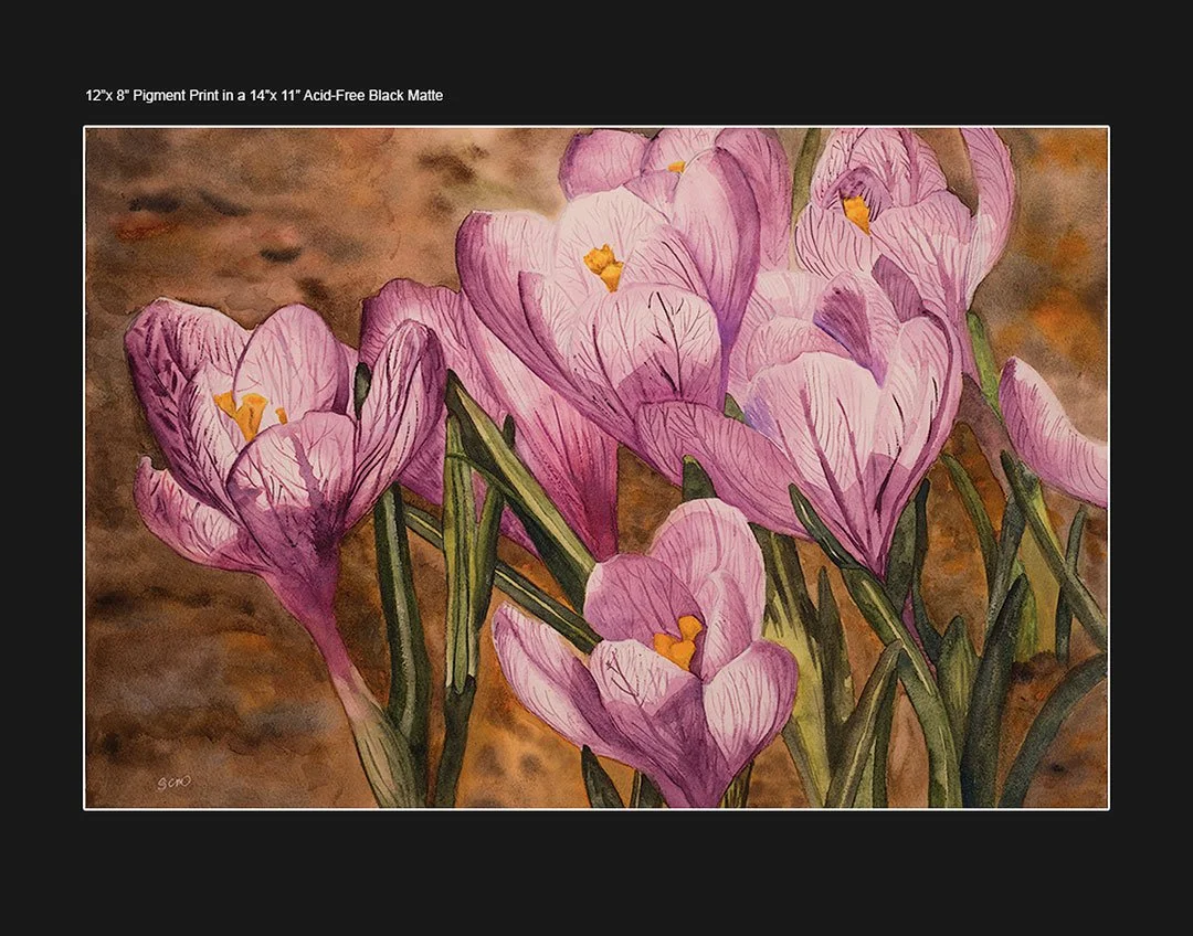 11X14-BLACK-MATTE---PURPLE-CROCUS-WC.jpg