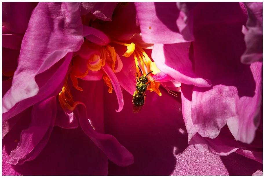 Nature in Action
220613-1738