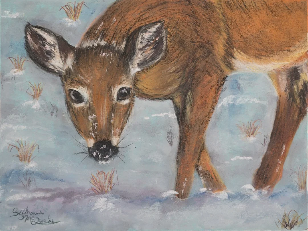 Winter Encounter -  Reproduction Print