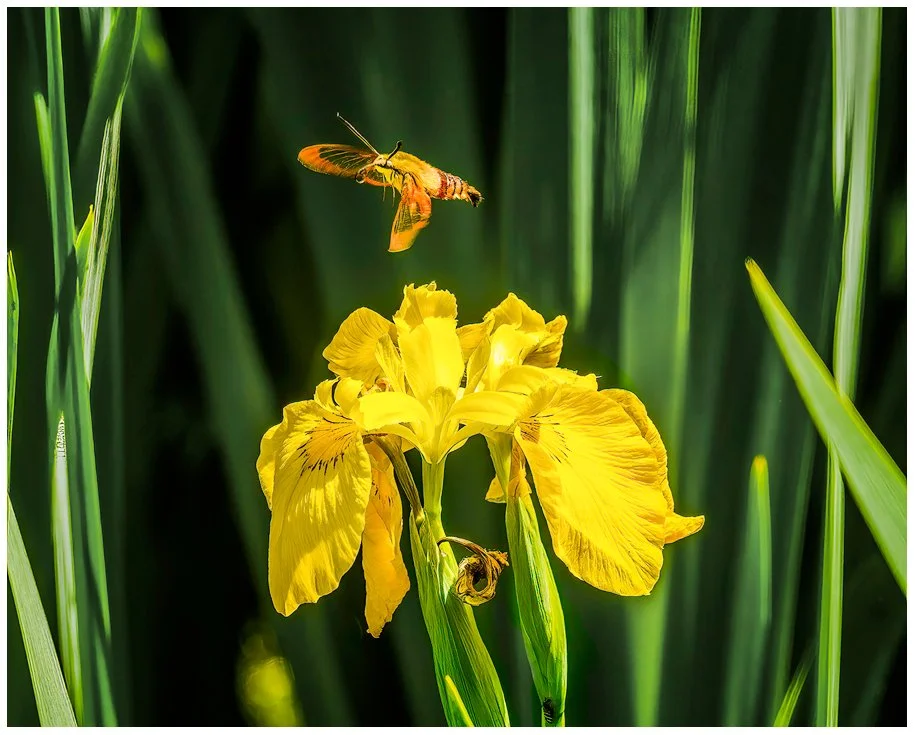 Final Approach
220604-0832