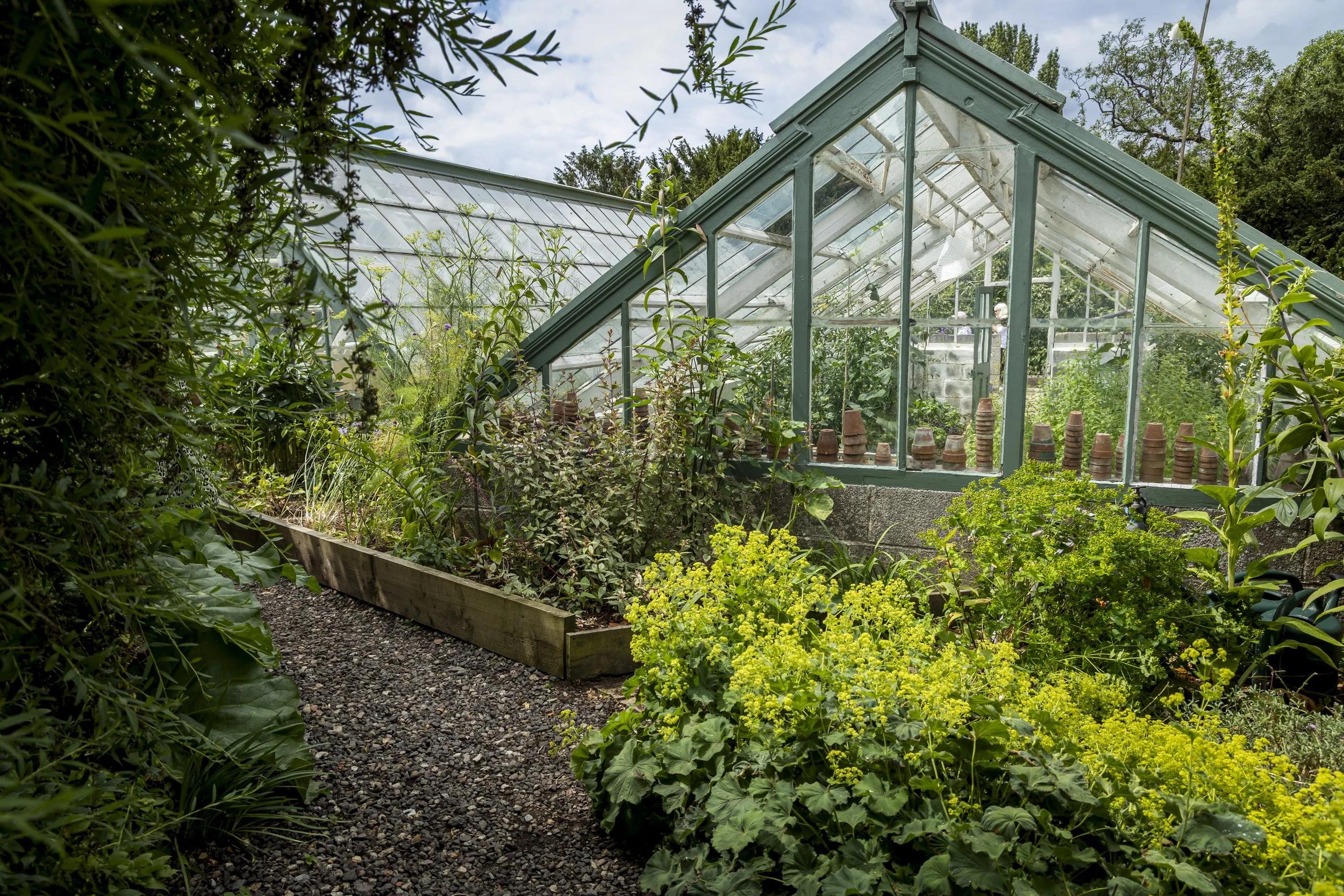 A glass greenhouse surrounded by lush green plants and garden flowers, with a gravel pathway in the foreground.