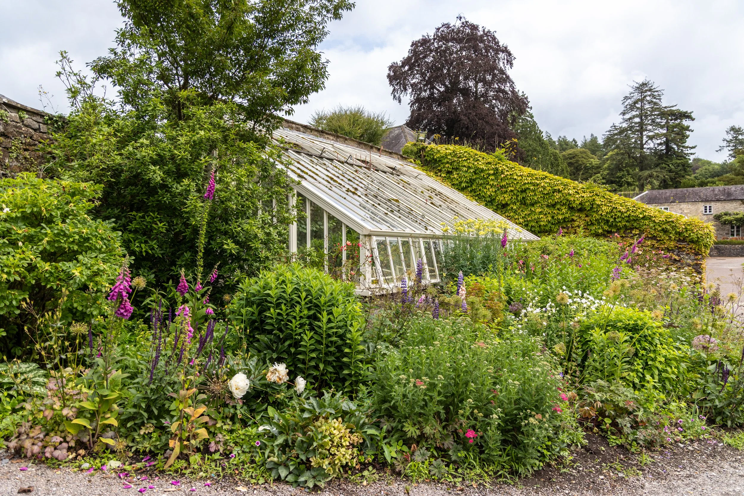 A lush garden with various flowering plants, a greenhouse with a sloped glass roof, and background trees with cloudy sky.