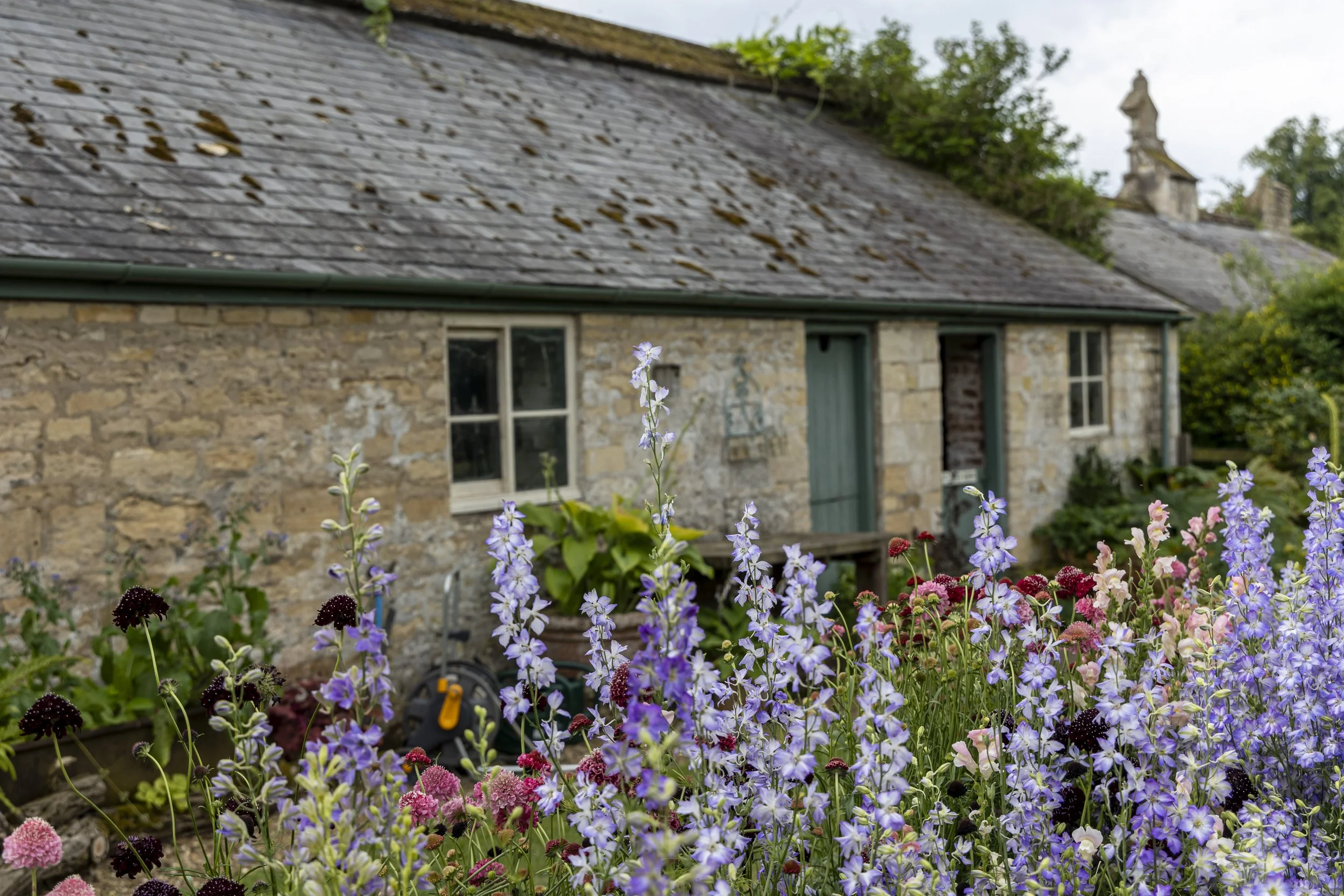 A stone cottage with a slate roof surrounded by colorful flowers, including purple, pink, and dark red blossoms.