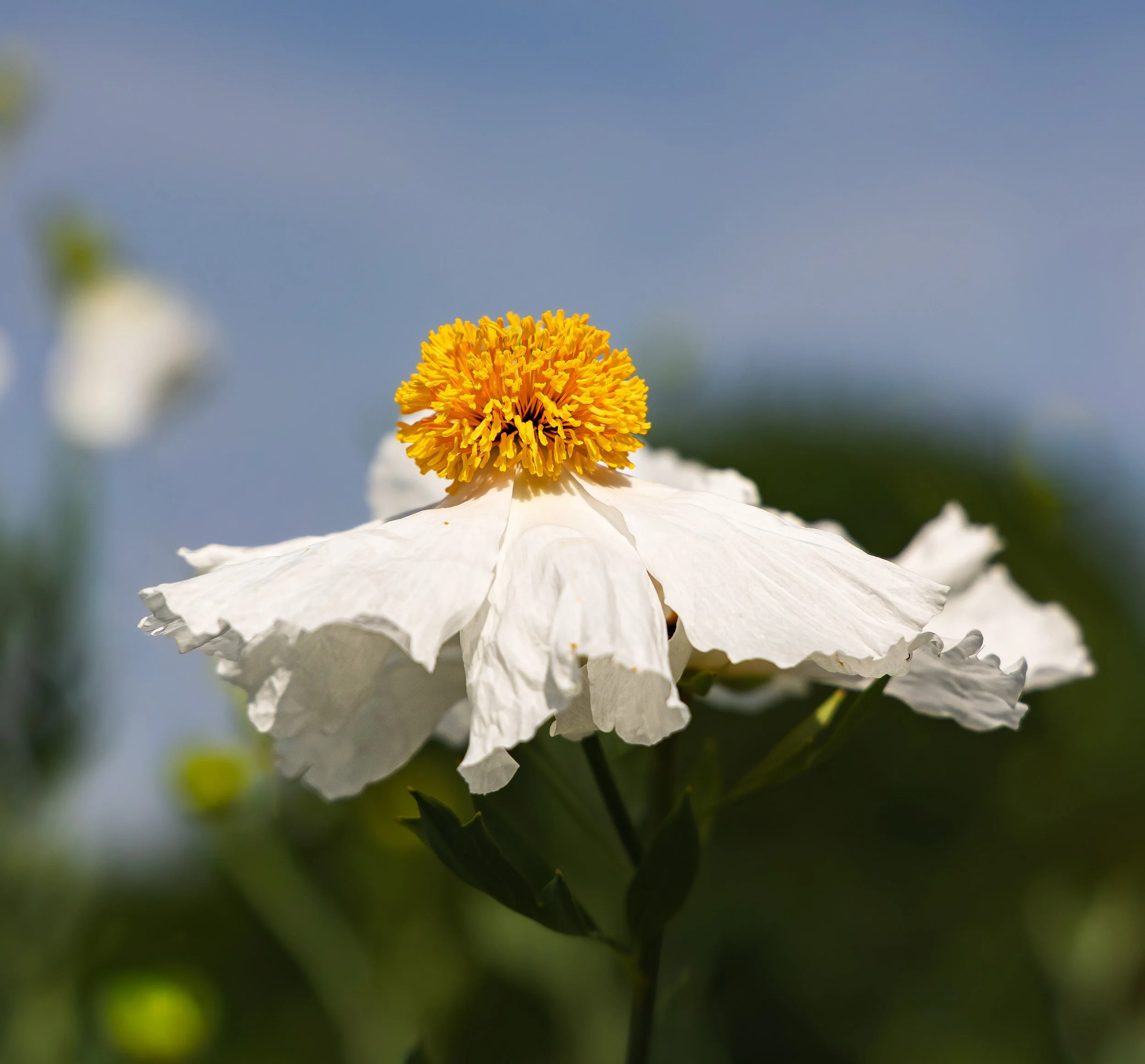 THP_3255.jpg