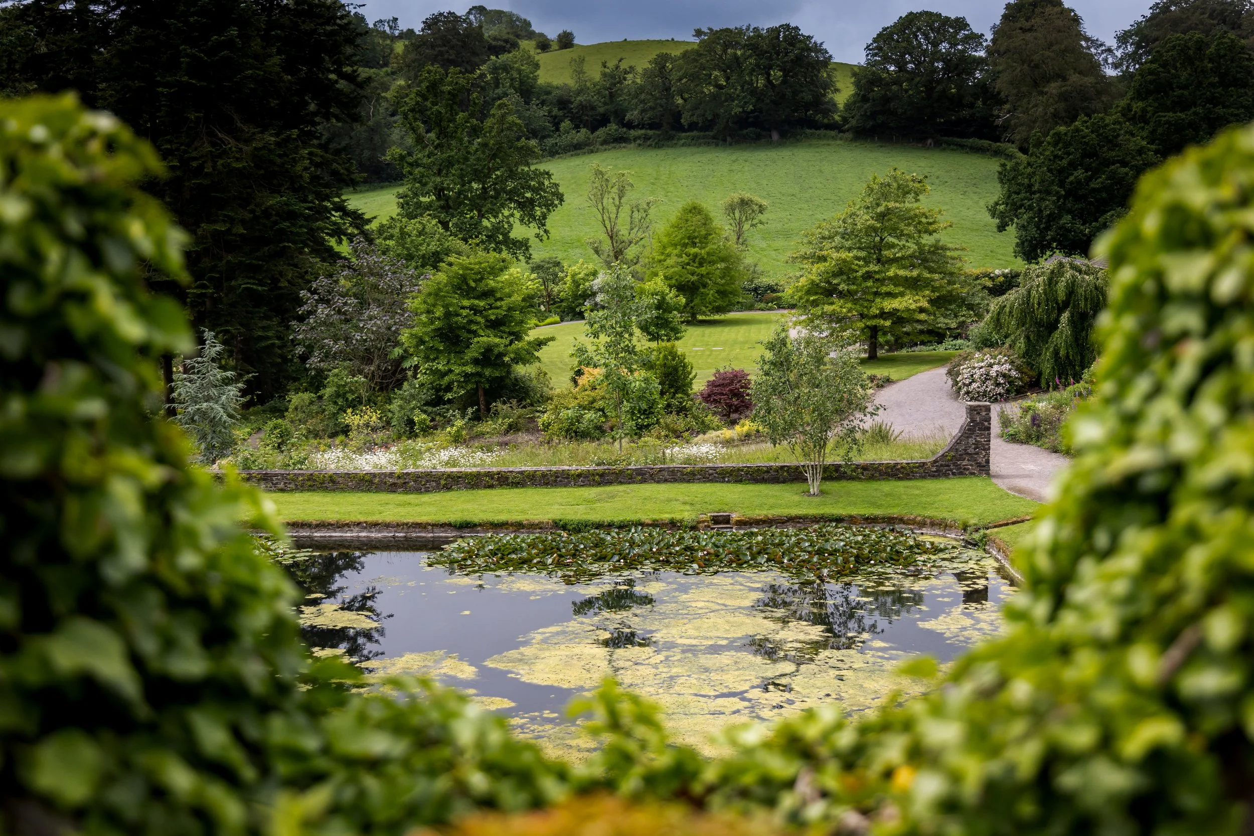 A scenic garden with a pond in the foreground, lily pads floating on the water, surrounded by lush green trees, a stone pathway, and a grassy hill in the background under a partly cloudy sky.