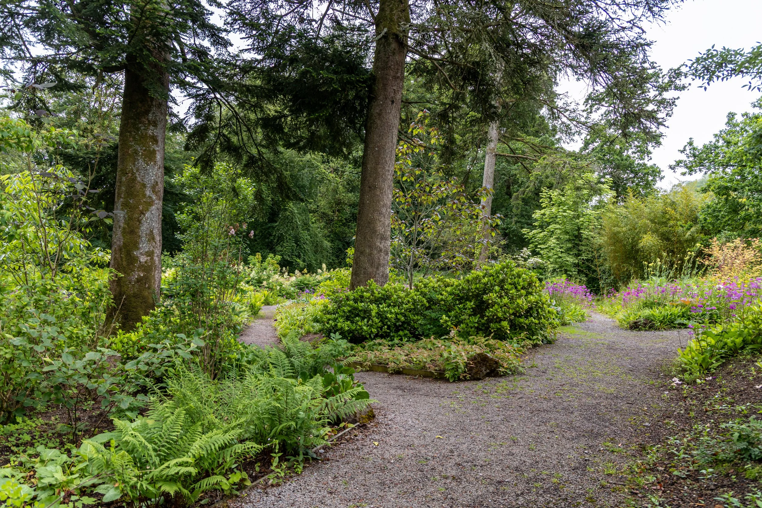 A garden with lush green trees, shrubs, and flowering plants along a gravel pathway, under an overcast sky.