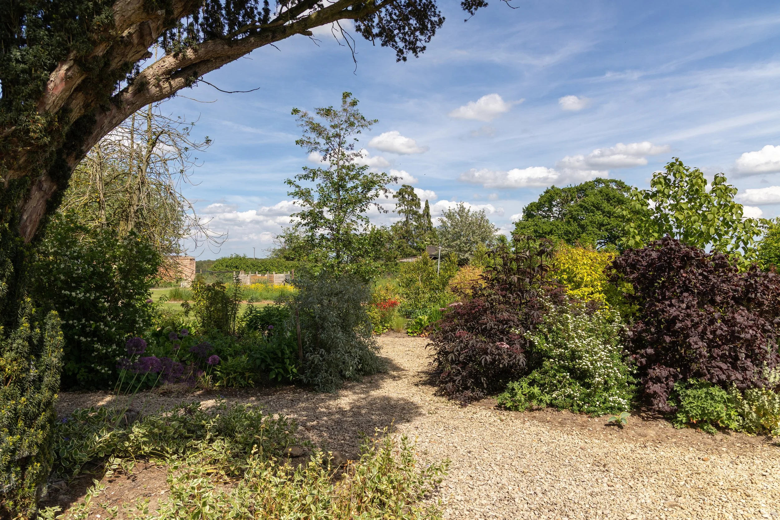 A garden scene with a large tree on the left, lush green bushes and flowers, a gravel path, and a blue sky with scattered white clouds.