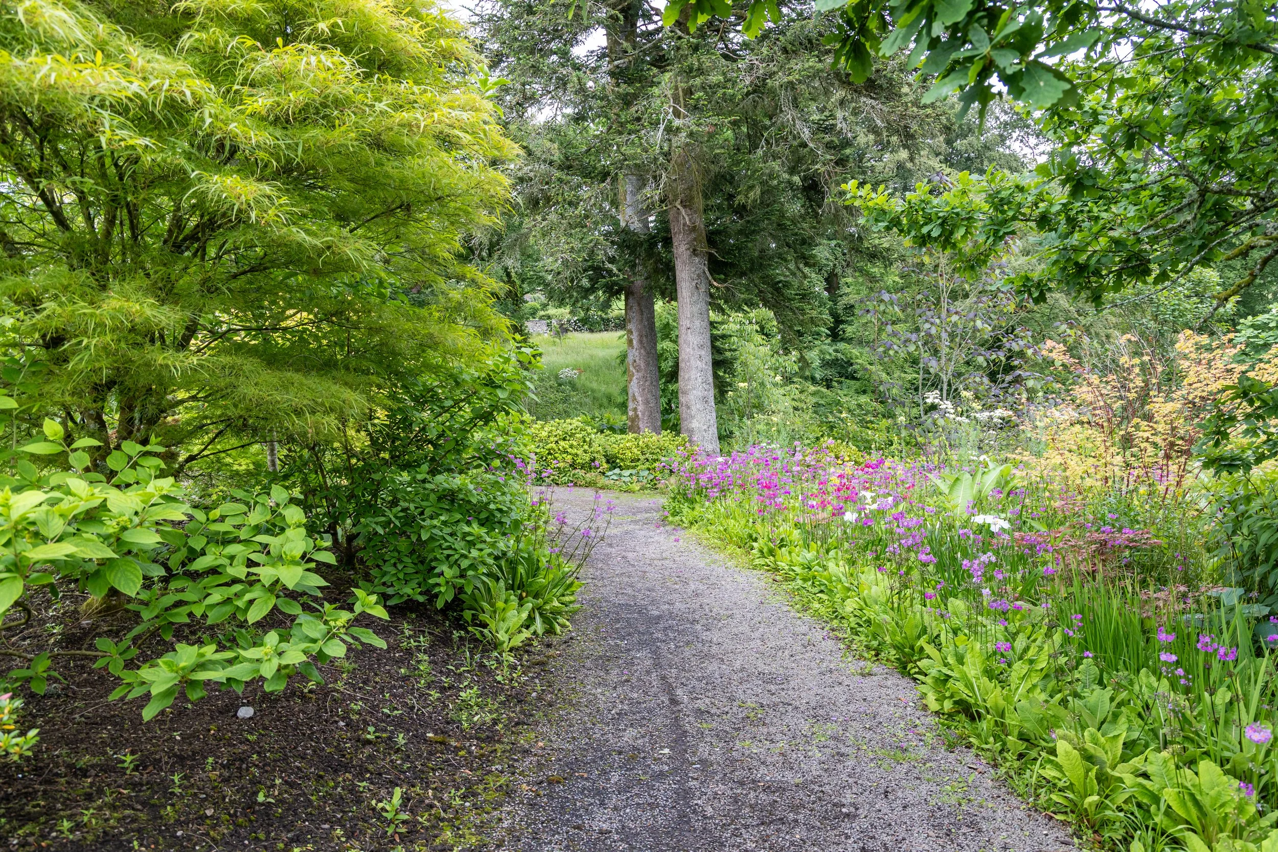 A garden path surrounded by green foliage and colorful flowers, with trees in the background.