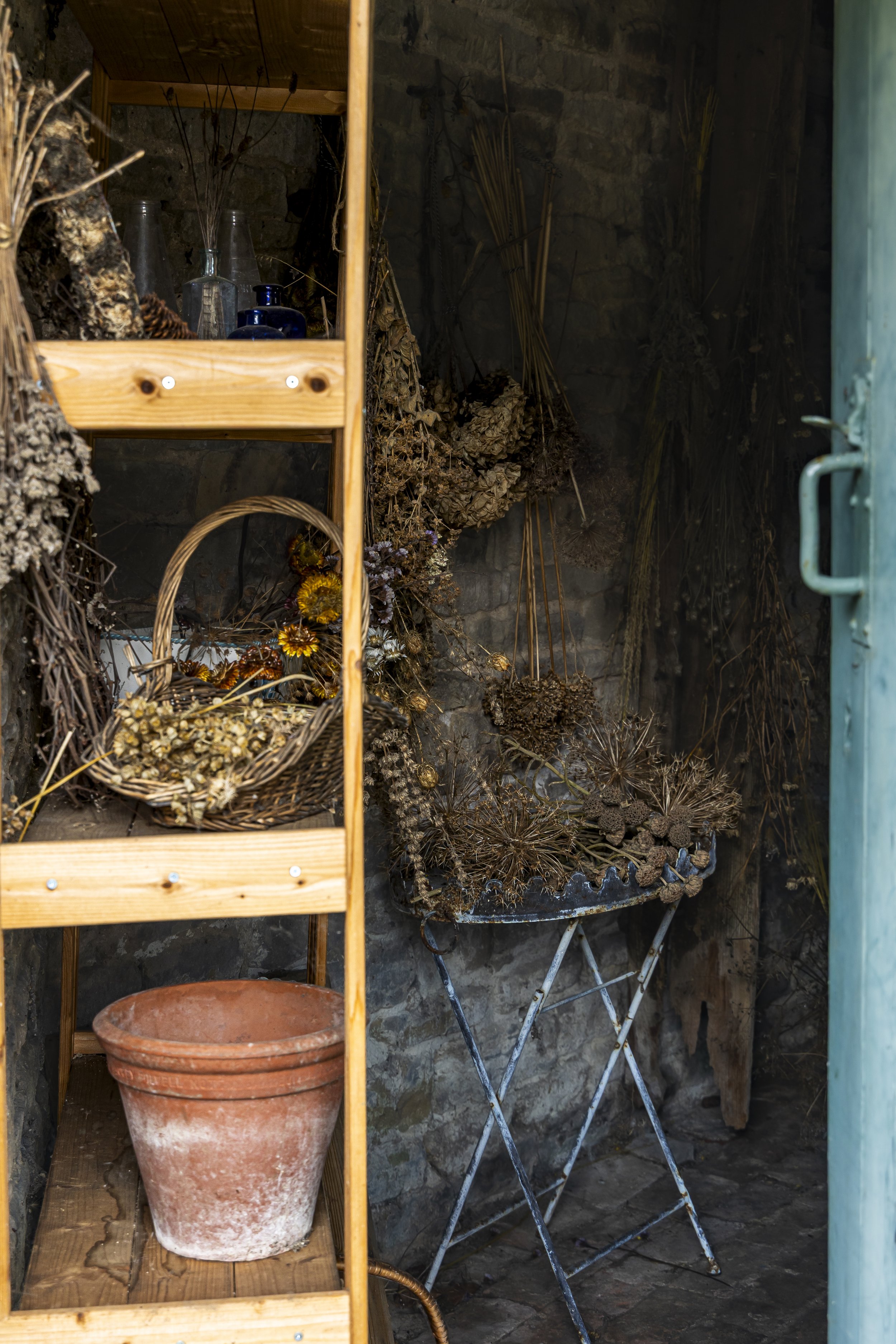 A wooden shelf holding glass bottles and a terracotta flower pot, with dried flowers and herbs hanging on the stone wall in the background.