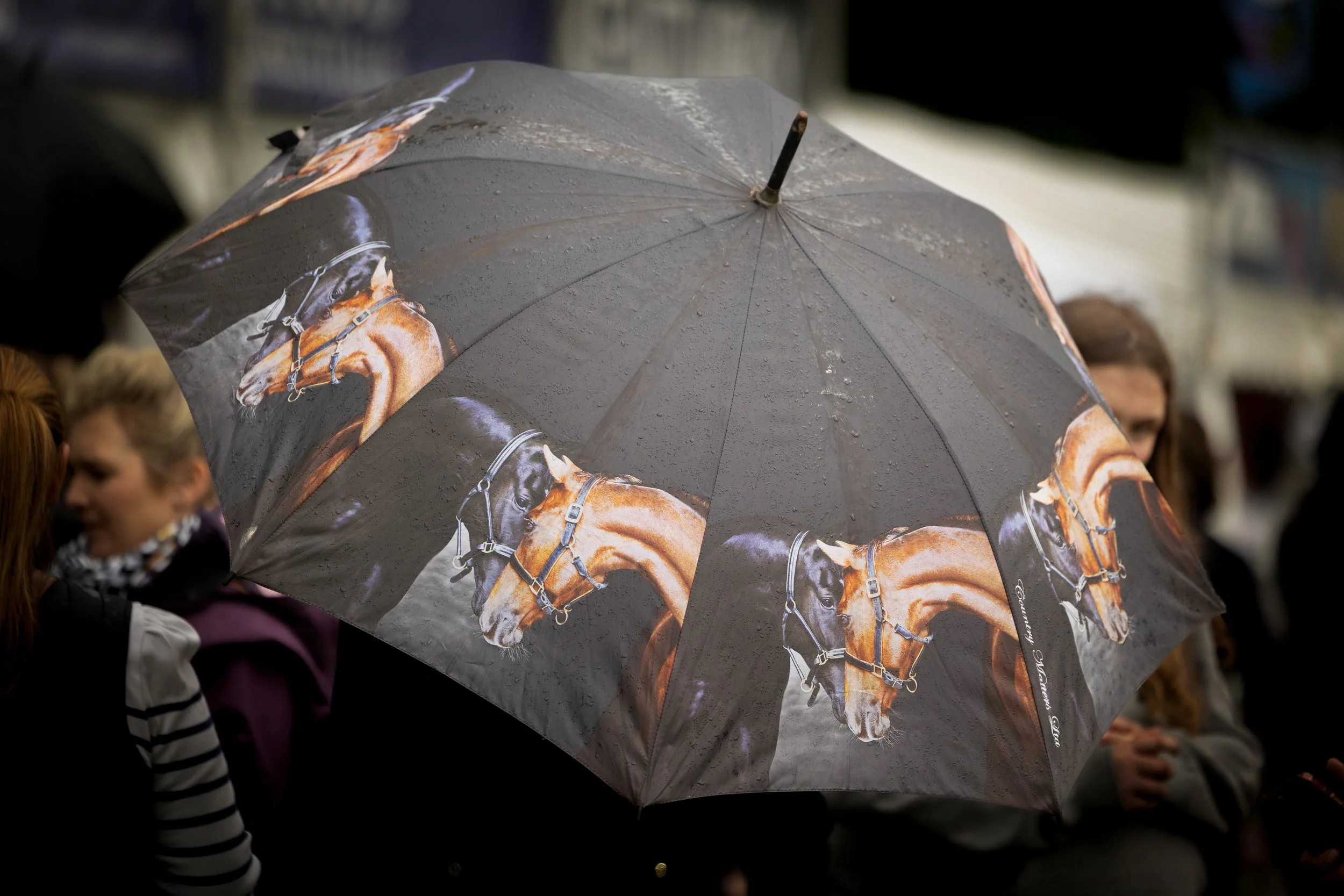 A grey umbrella with a horse head pattern held by someone in a crowd on a rainy day.
