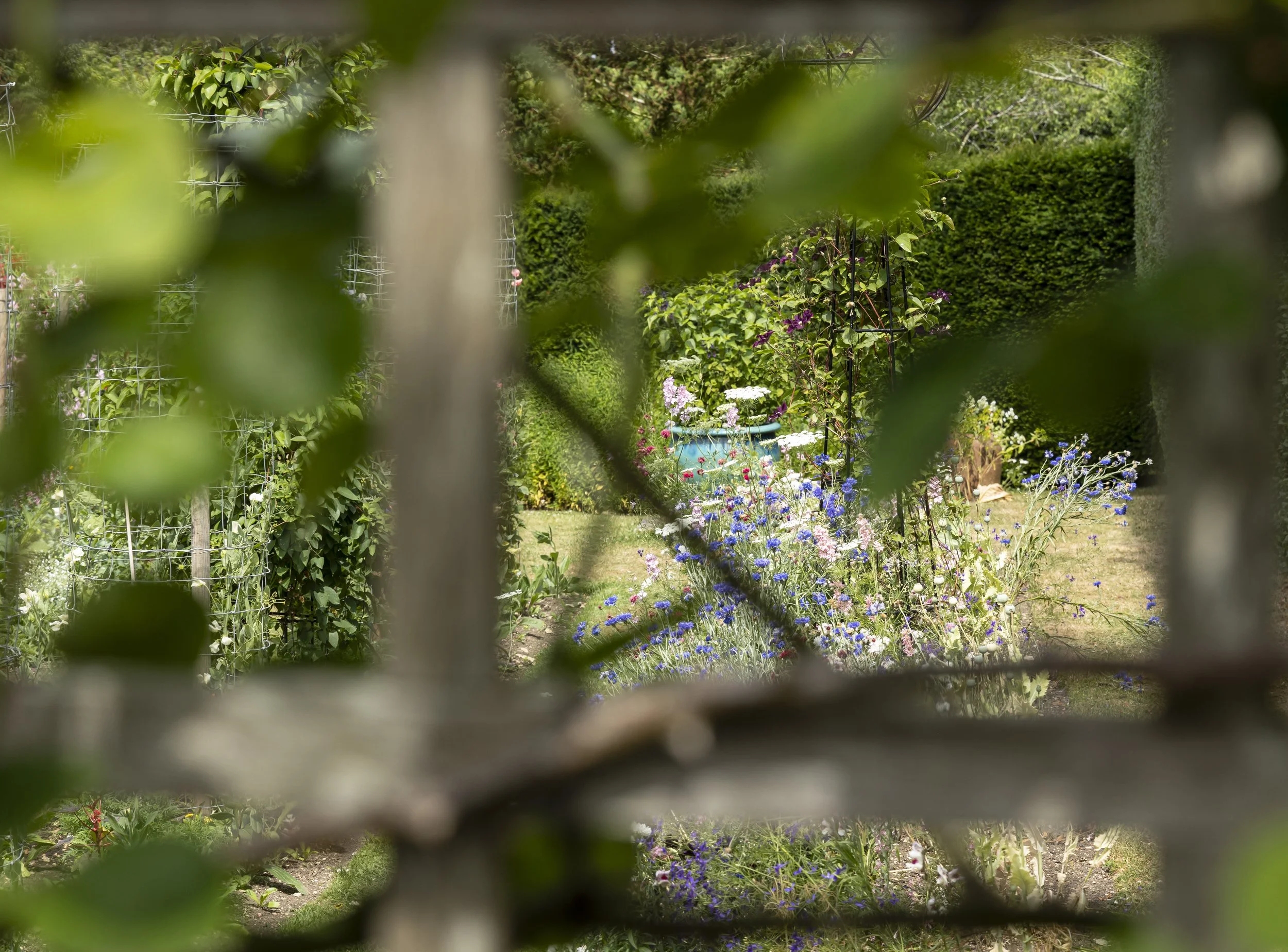 A view of a colorful garden with various flowers, greenery, and hedges seen through a metal fence with blurred leaves in the foreground.