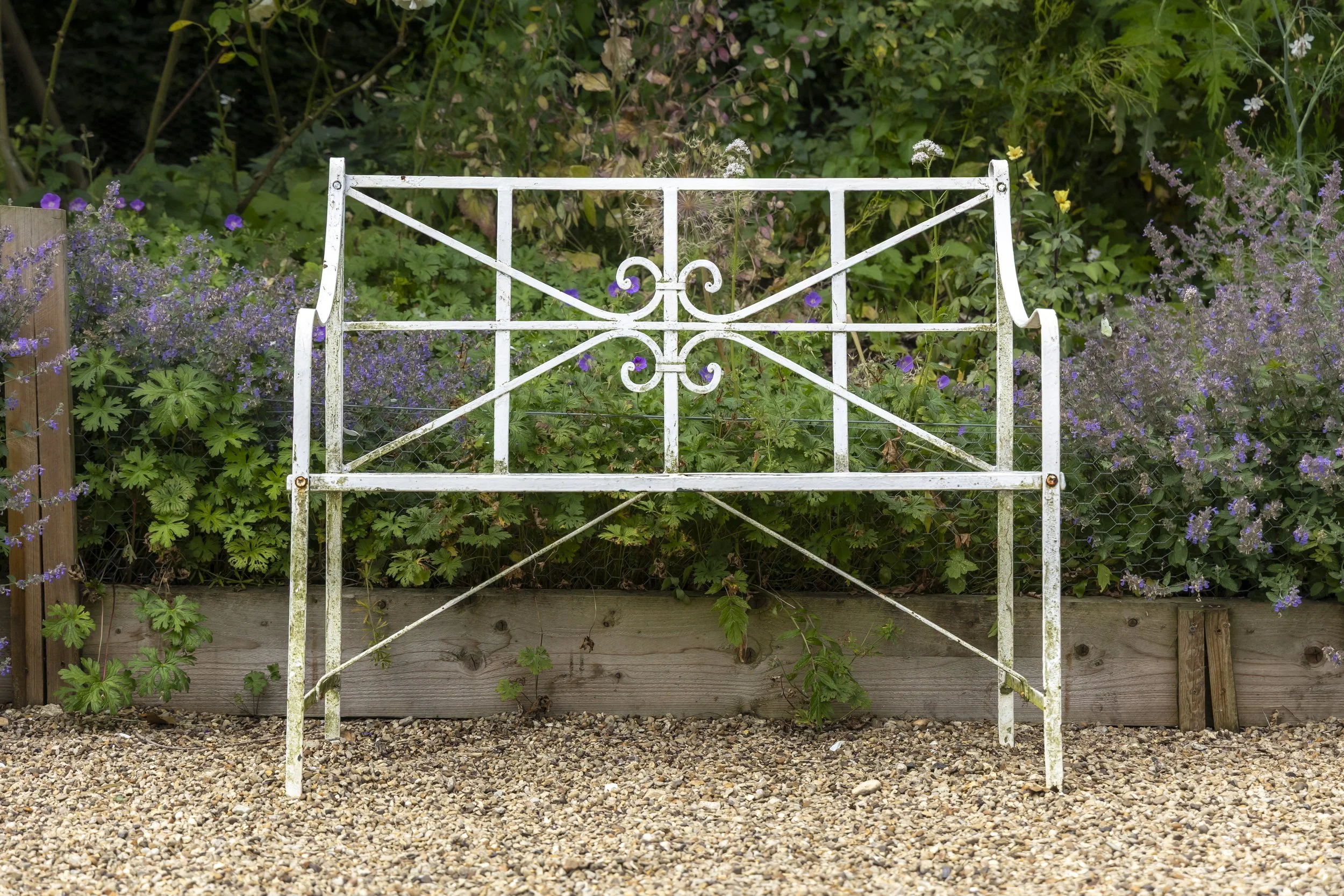 White metal garden gate with decorative swirls, surrounded by purple and green plants, set against a wooden fence and gravel ground.