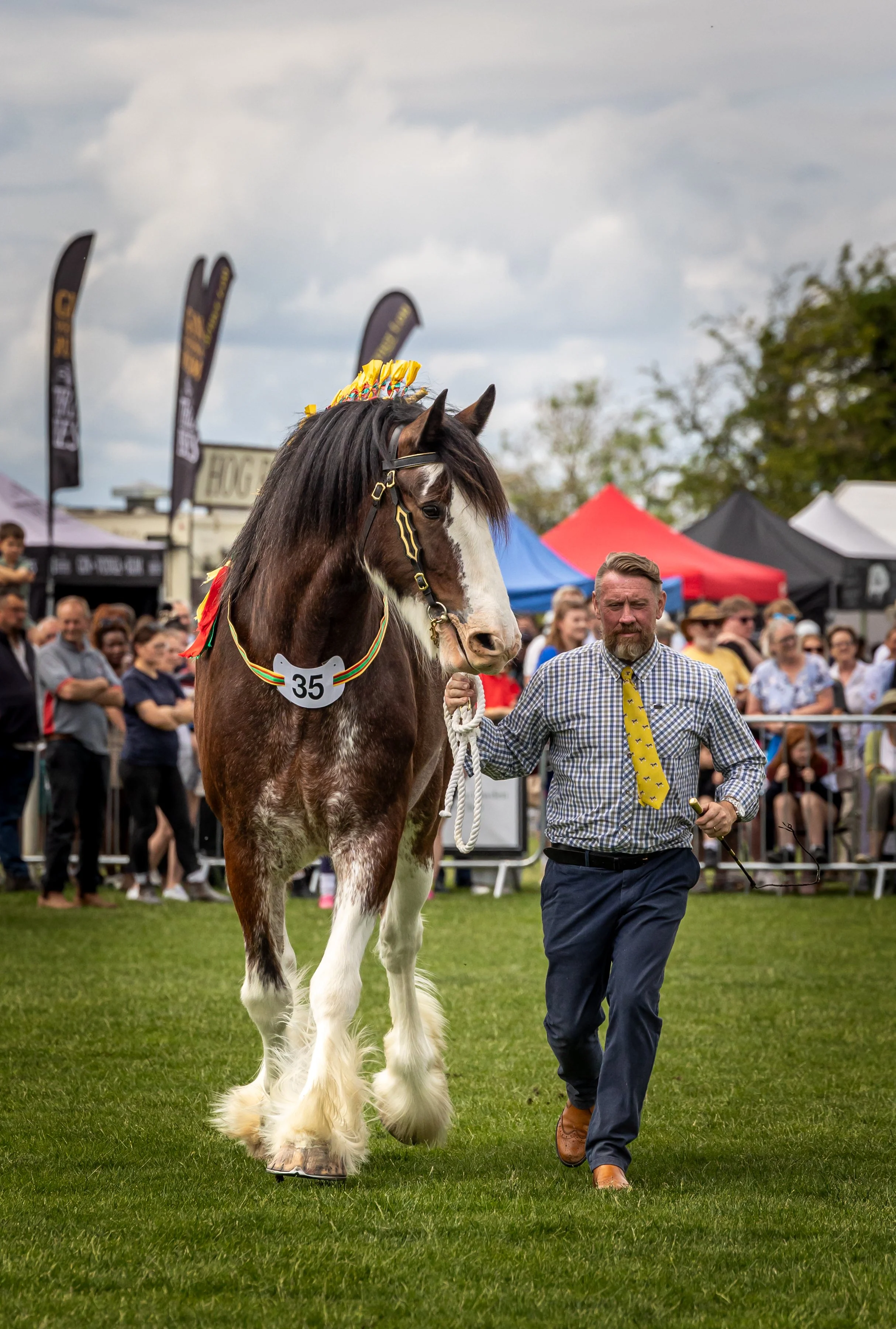 A man walking a large horse with a yellow and red ribbon on its neck at an outdoor event, with tents and a crowd of people in the background.