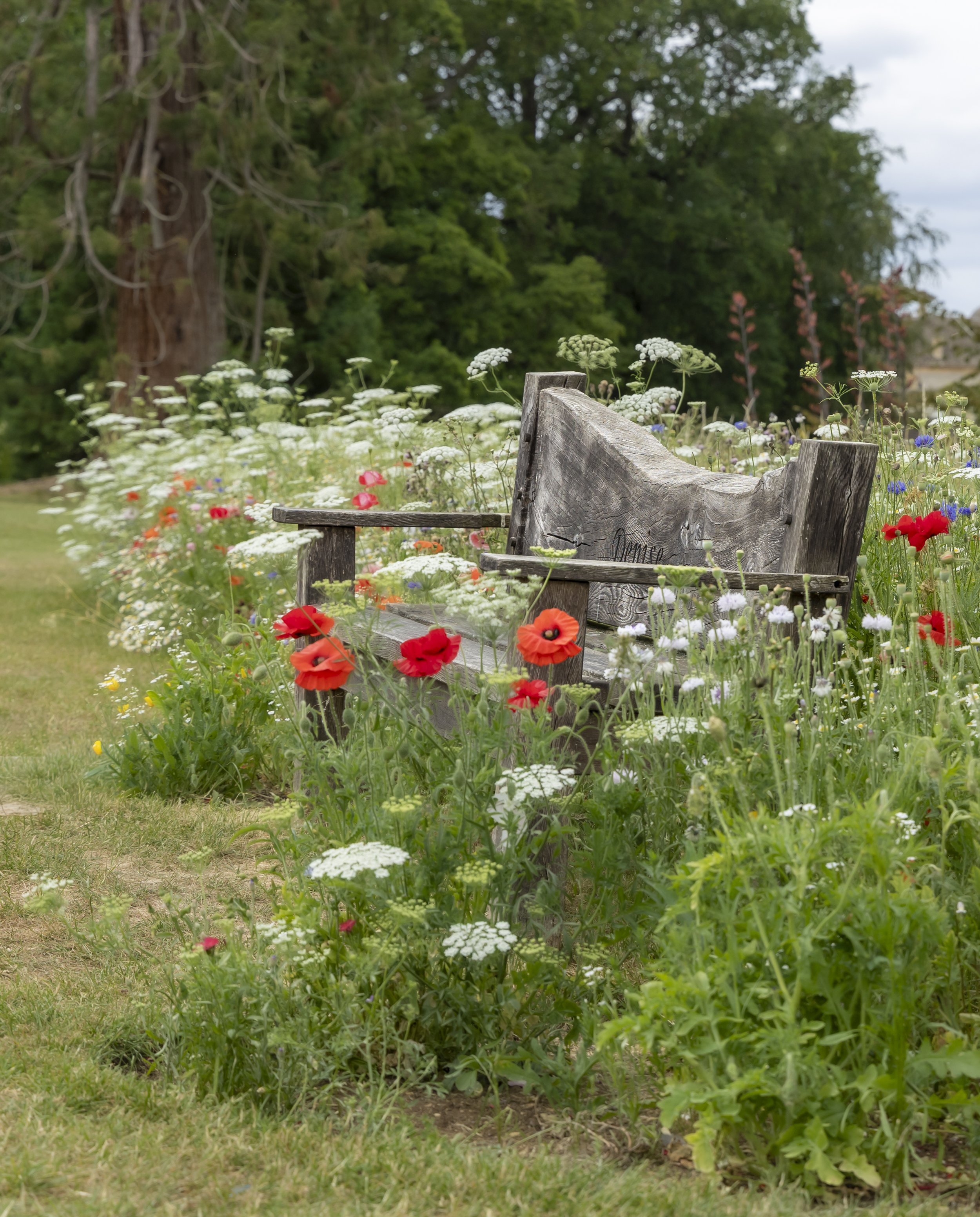 A rustic wooden bench surrounded by a variety of colorful wildflowers in a lush garden with green trees in the background.