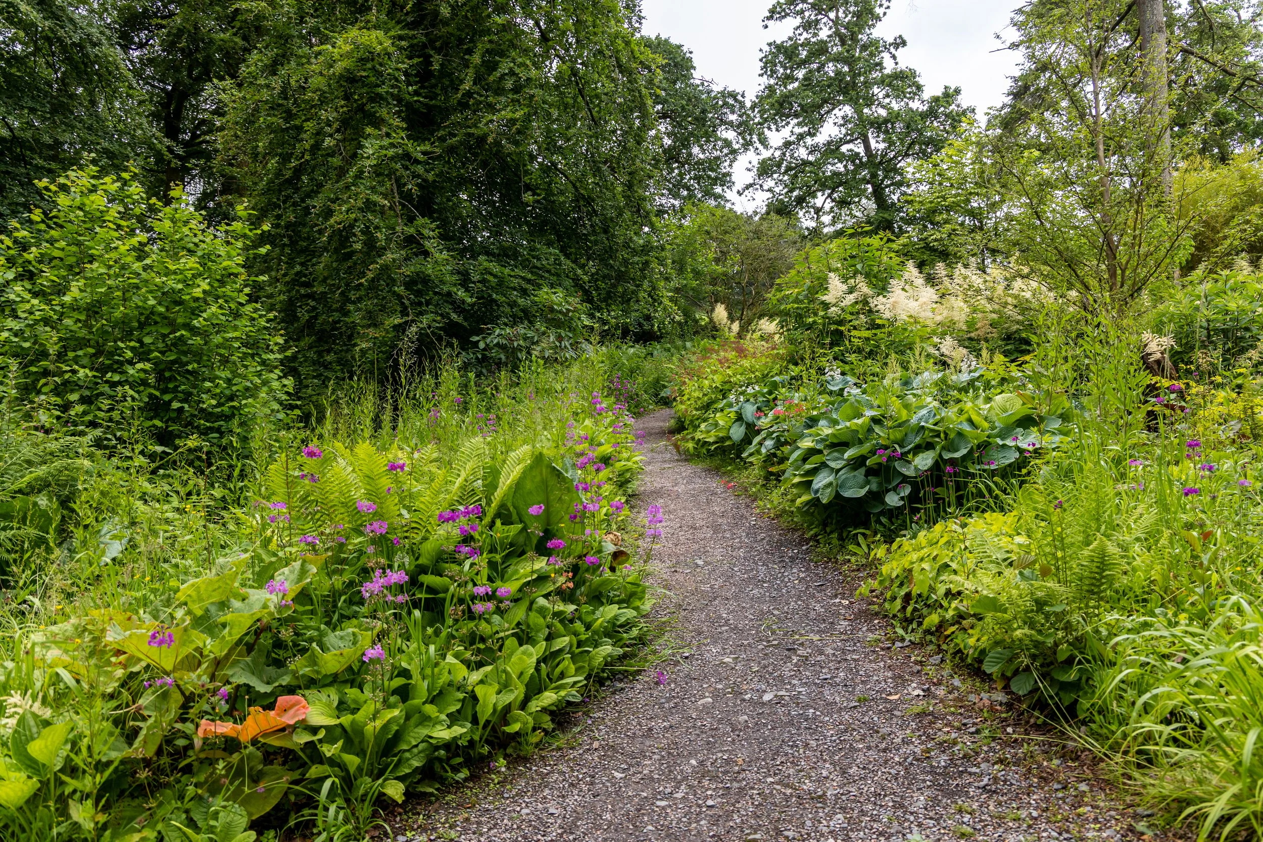A gravel trail winds through a lush green garden with dense trees and flowering bushes on both sides.