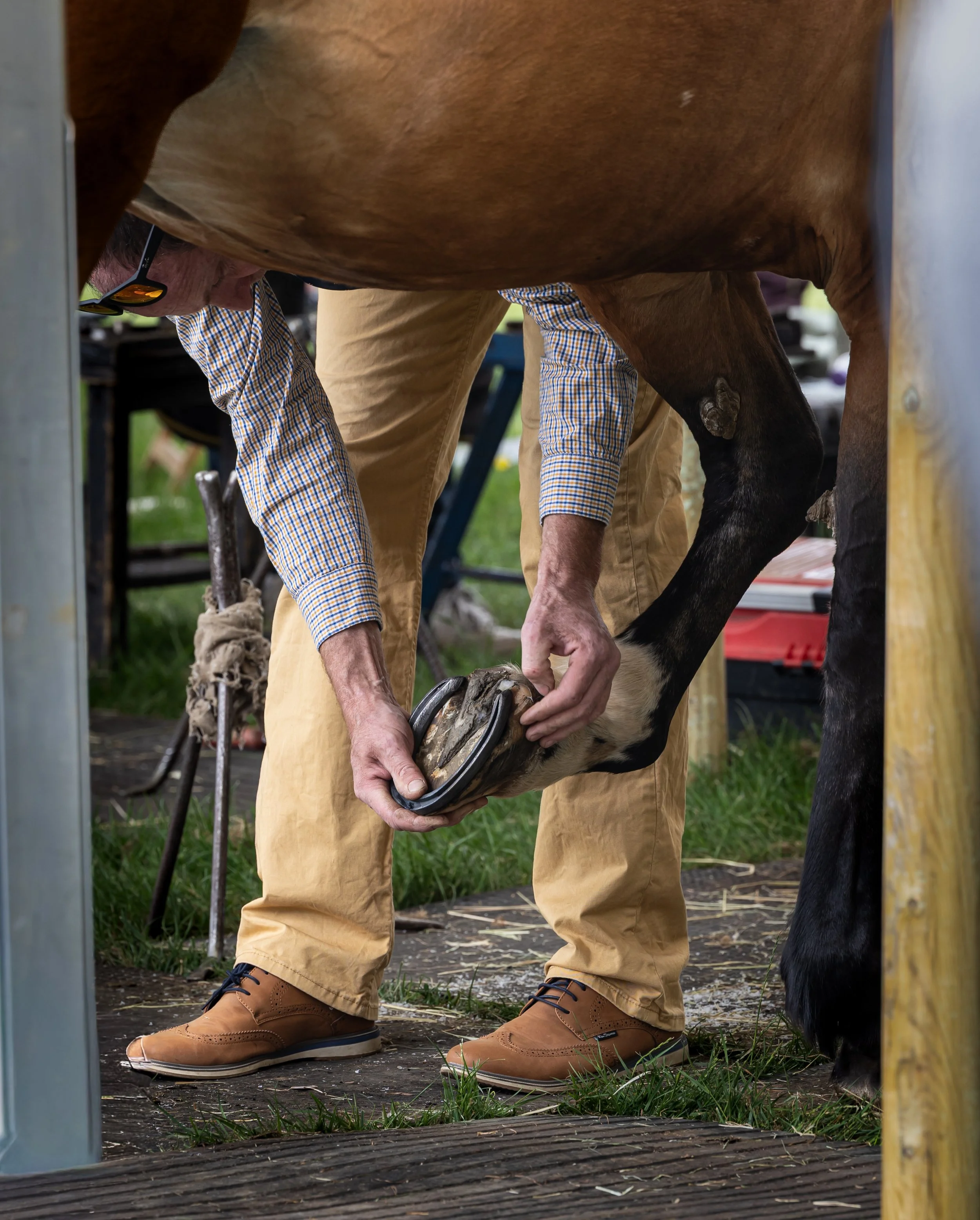 A farrier working on a horse's hoof at an outdoor farm or stable, with tools and equipment nearby.