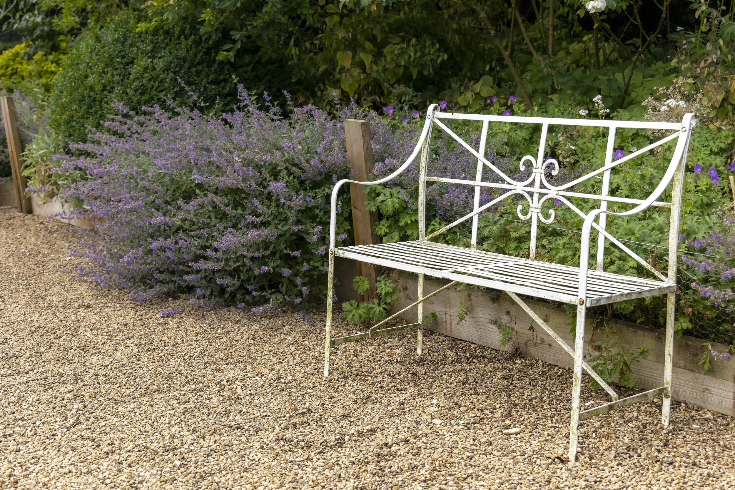 A white metal garden bench in front of a flower bed with purple and white flowers, surrounded by green bushes and plants, on a gravel surface.
