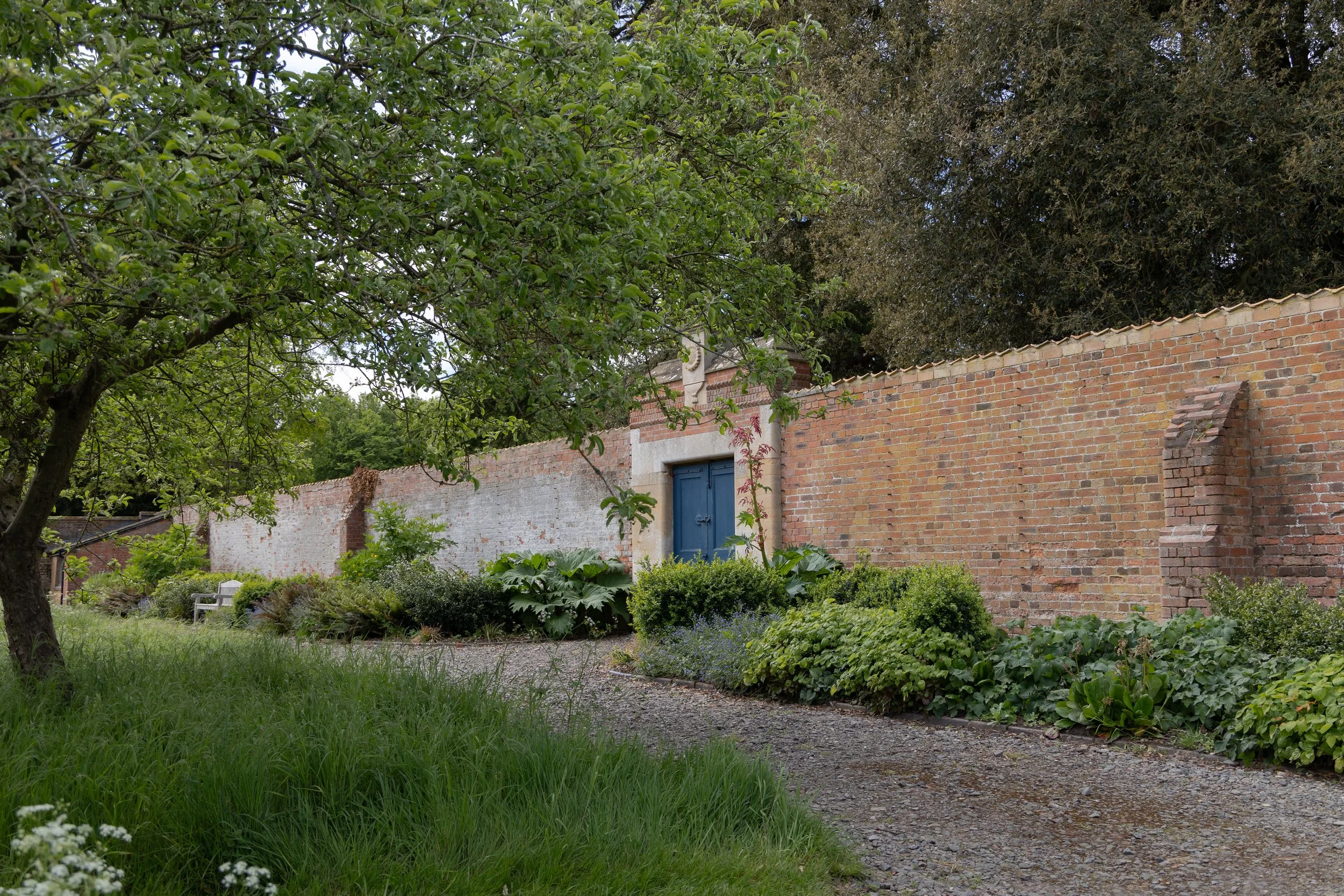 A garden scene with lush green grass, a large leafy tree on the left, and a brick wall with a blue door on the right. There are various plants and bushes along the wall, and a gravel pathway curves through the garden.