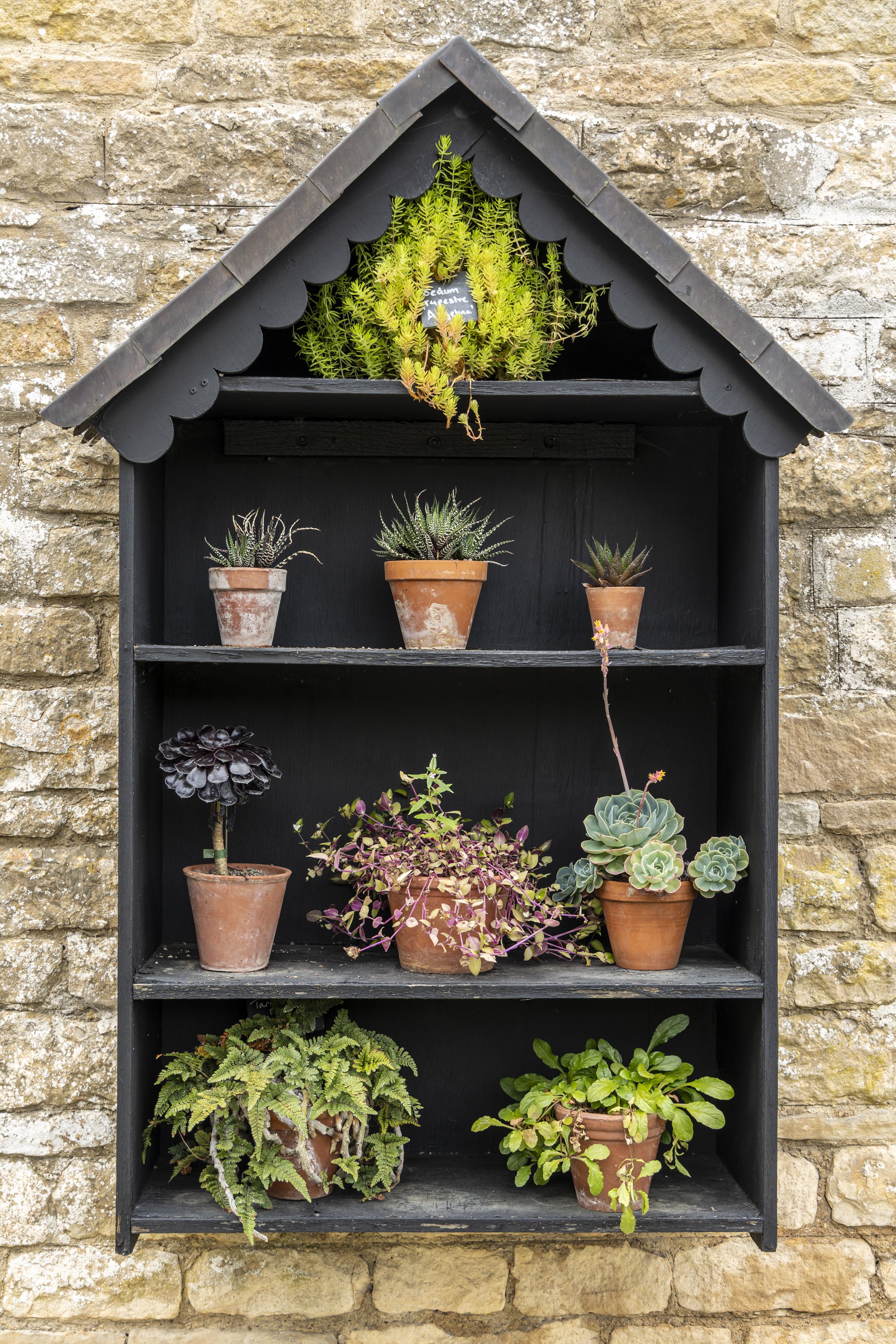 A black wooden wall shelf with three levels, filled with various potted plants, including succulents and ferns, mounted on an outdoor brick wall.