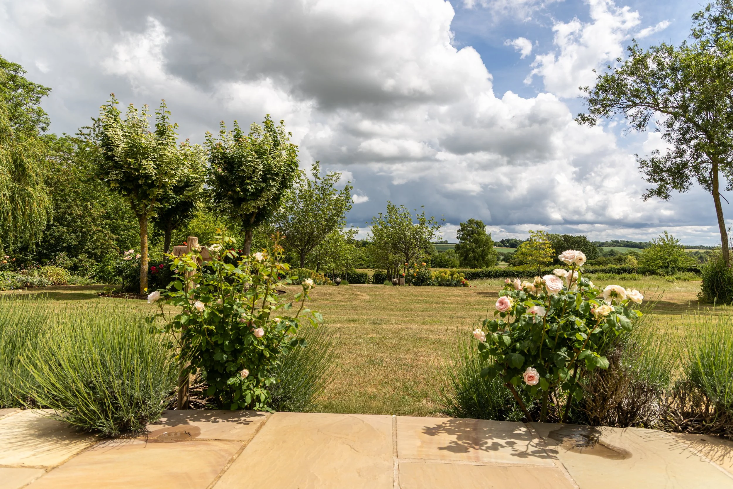 A lush garden with blooming roses, a grassy lawn, and various trees under a partly cloudy sky.